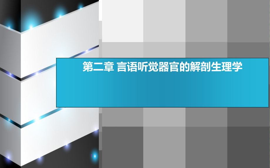 第二节-言语相关解剖生理基础课件.ppt_第1页