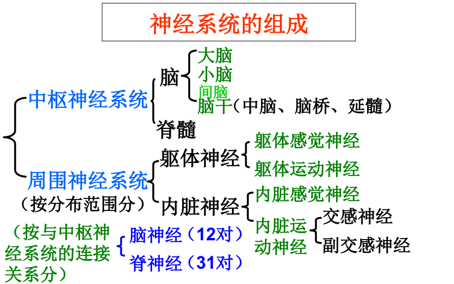 第二节-言语相关解剖生理基础课件.ppt_第2页