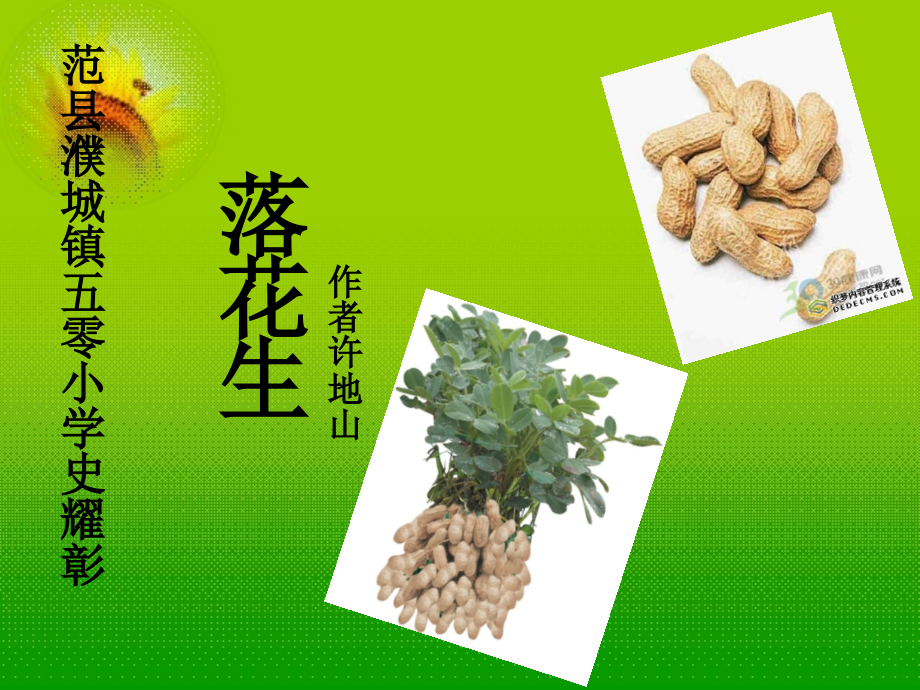 《落花生》说课课件.ppt_第1页