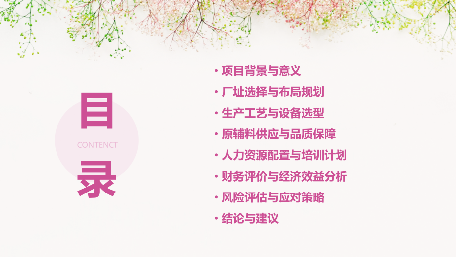肉联厂可行性报告.pptx_第2页