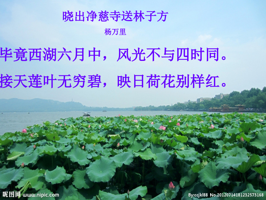 福建省永安市八年级语文上册 22(爱莲说)课件 新人教版 课件.ppt_第1页