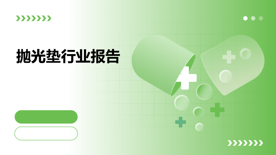 抛光垫行业报告.pptx_第1页