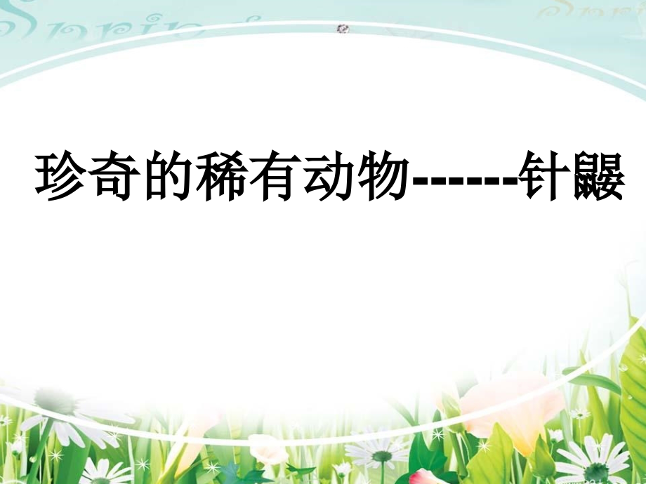 珍奇的稀有动物.ppt_第1页