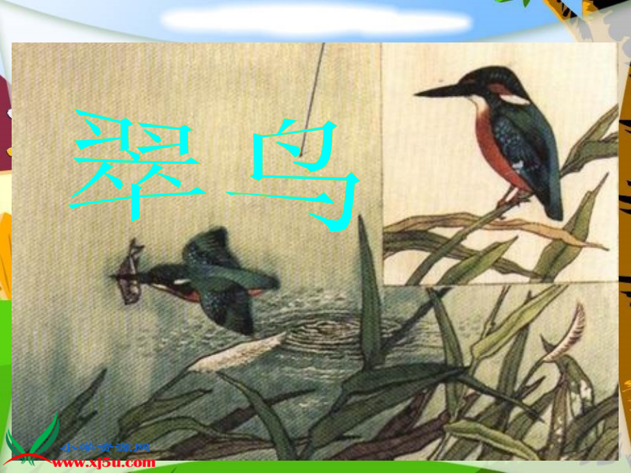 (北师大版)三年级语文上册课件_翠鸟.ppt_第2页