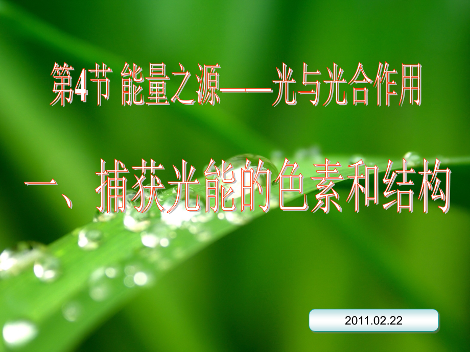 第4节能量之源—光与光合作用oxl.ppt_第1页