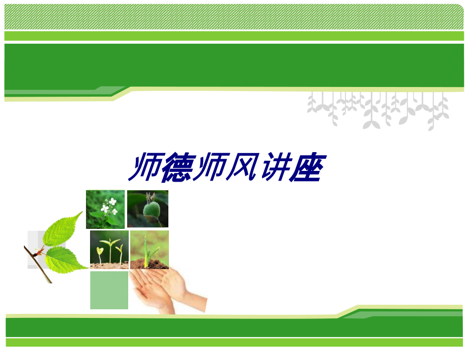 师德师风讲座专题培训课件.ppt_第1页