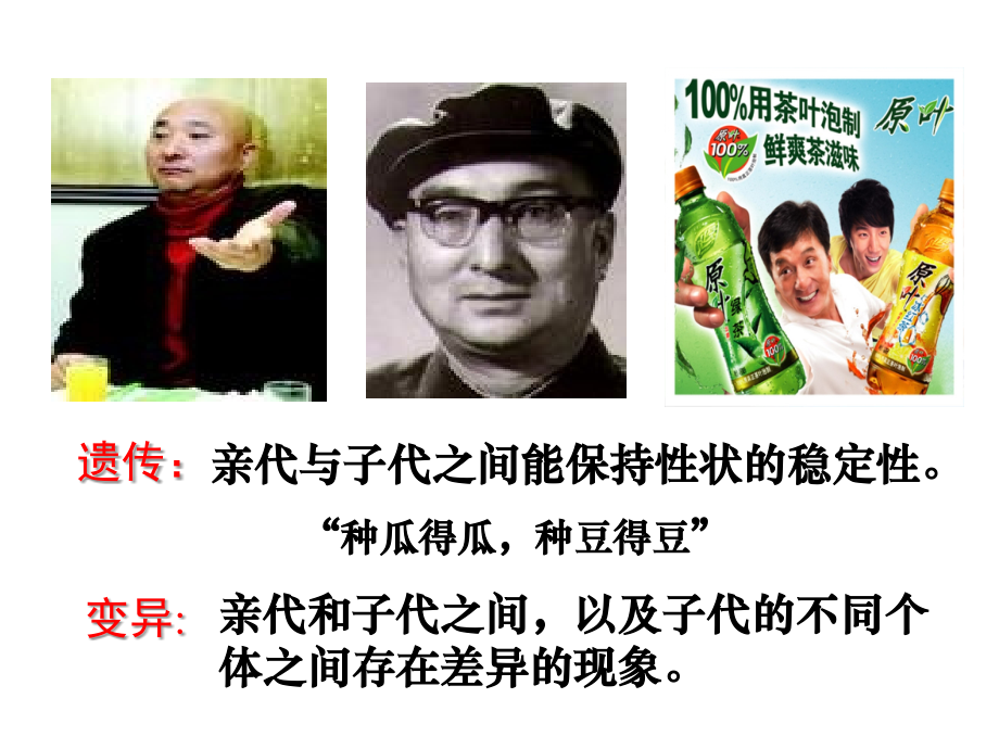 第一节遗传因子.pptx_第2页