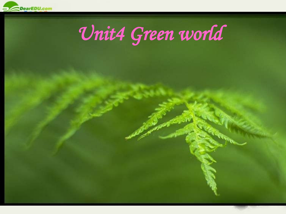高三英语 unit4 Warming up and speaking课件 人教版 课件.ppt_第1页