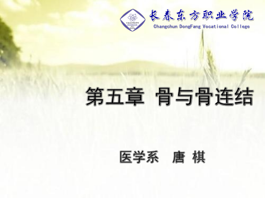 正常人体结构-骨与骨连结.ppt_第1页