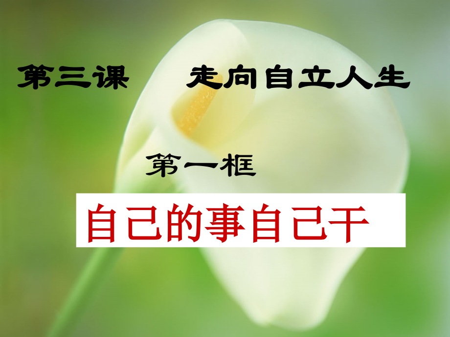 《自己的事自己干》课件.ppt_第1页