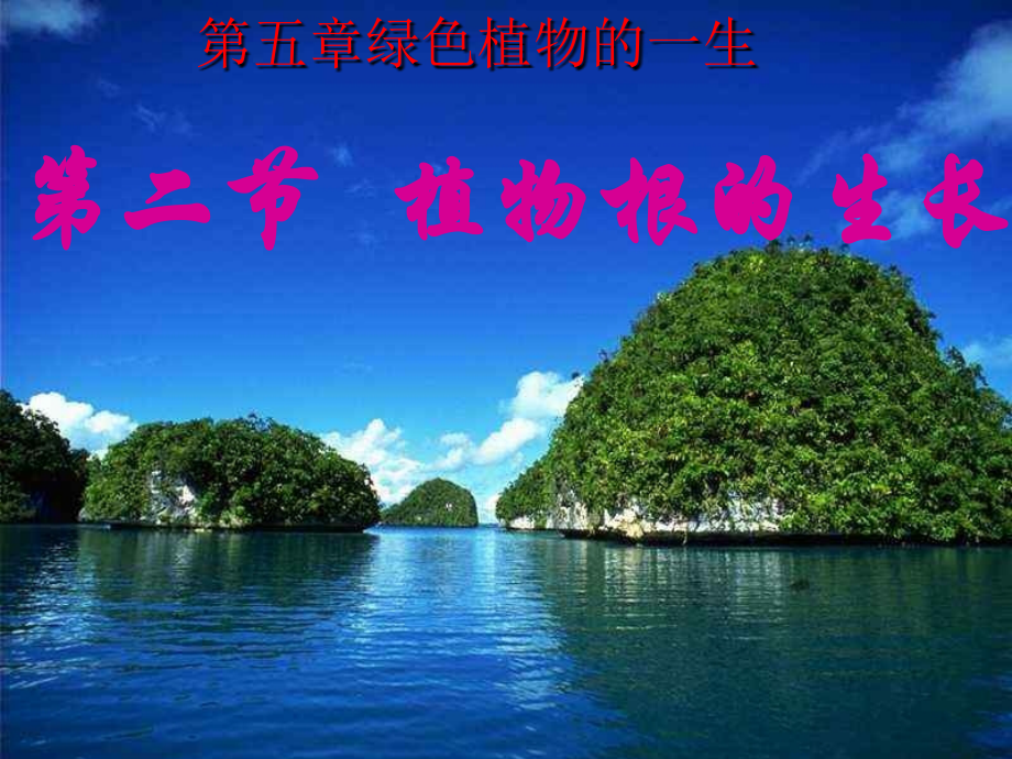 《植物根的生长》课件.ppt_第2页