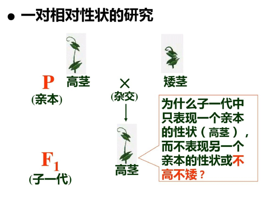 新人教生物必修二复习ppt课件.pptx_第2页
