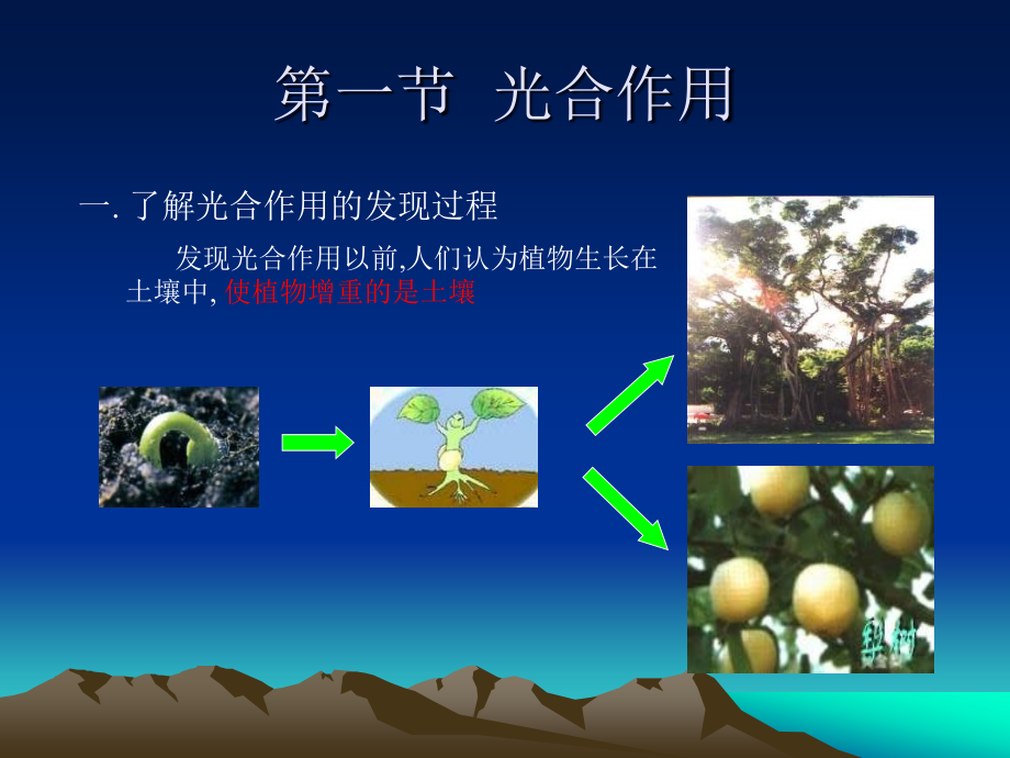 植物的光合作用PPT课件.ppt_第2页