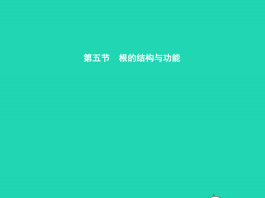 八年级生物上册 第四单元 第一章 第五节 根的结构与功能(第1课时 根的生长)课件 (新版)济南版 课件.pptx_第1页