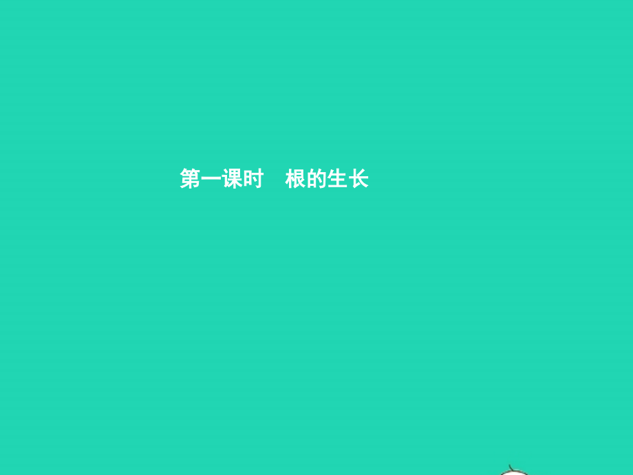 八年级生物上册 第四单元 第一章 第五节 根的结构与功能(第1课时 根的生长)课件 (新版)济南版 课件.pptx_第2页