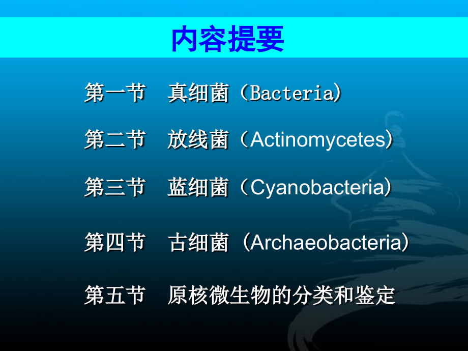 第二章原核微生物.ppt_第2页