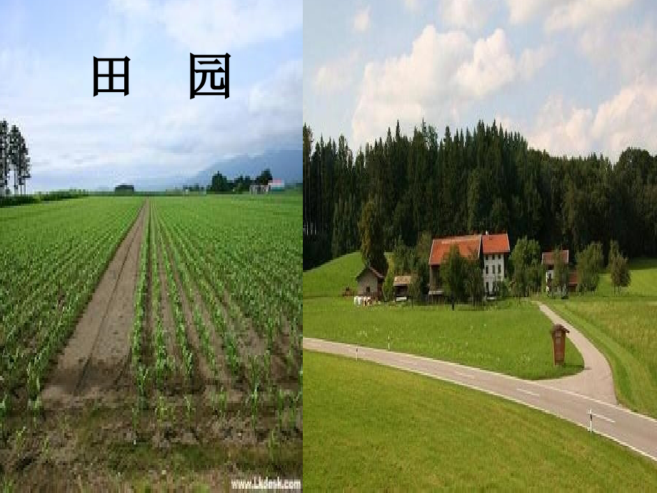 【走进田园综合性学习】课件.ppt_第2页