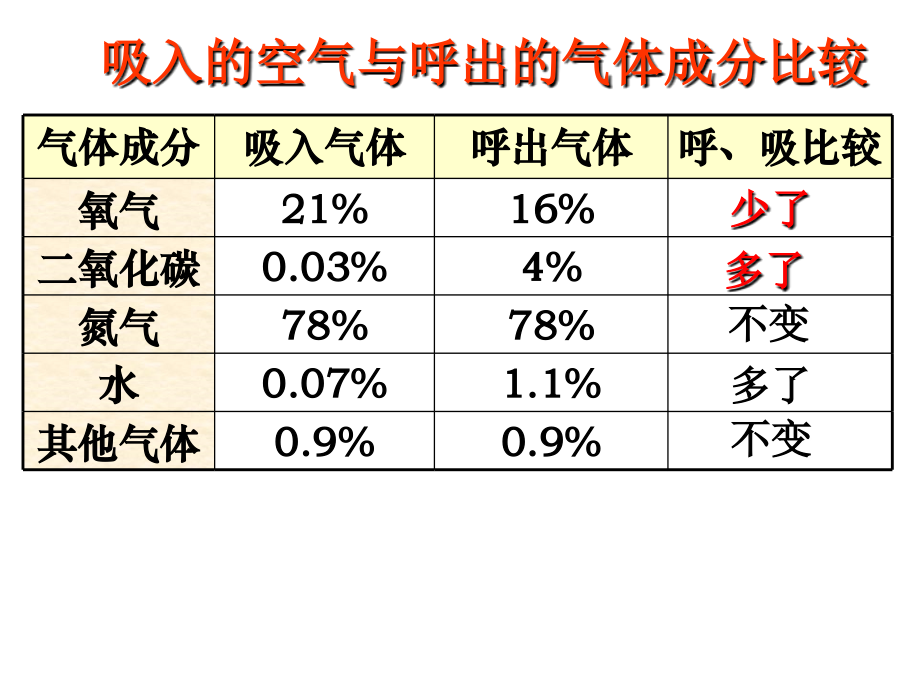 人类的呼吸课件.ppt_第2页