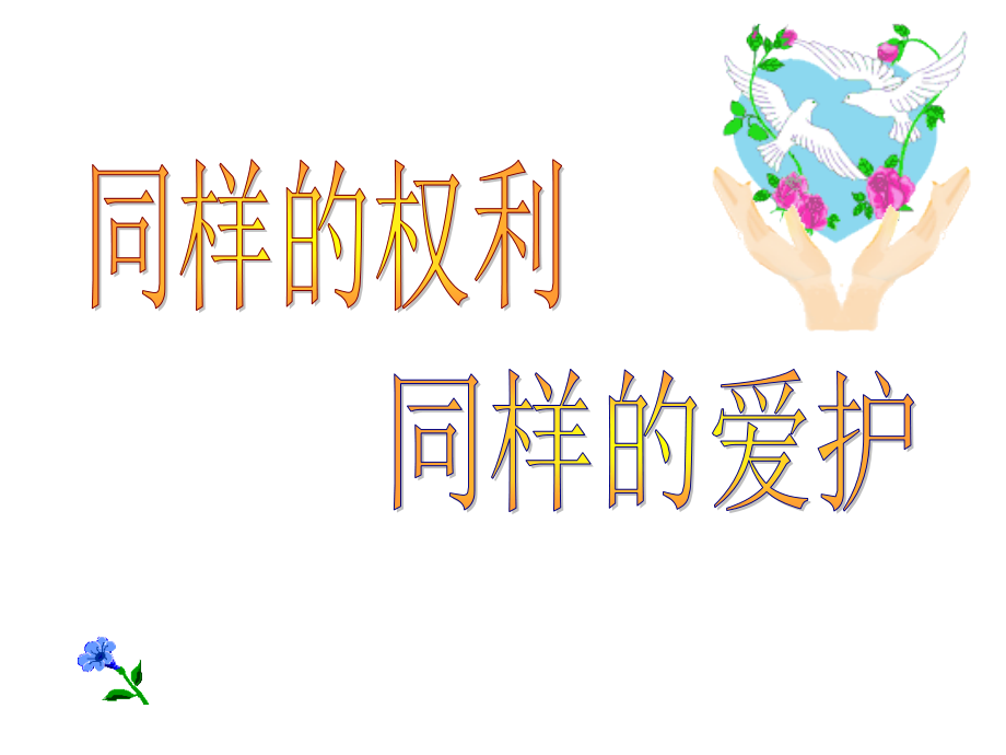 《同样的权利同样的爱护》.ppt_第1页