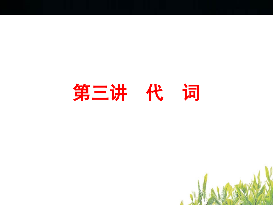 中考代词复习.ppt_第1页