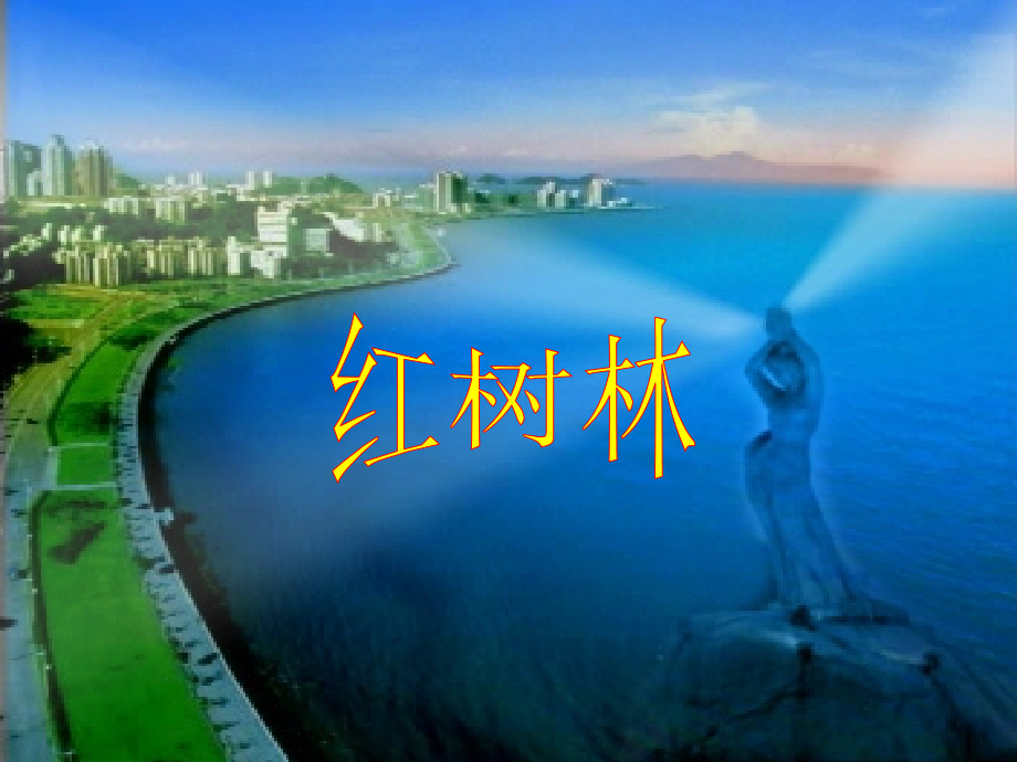 （北师大版）五年级语文课件红树林.ppt_第1页