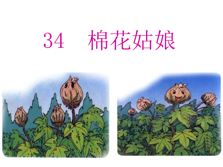 棉花姑娘.ppt_第1页