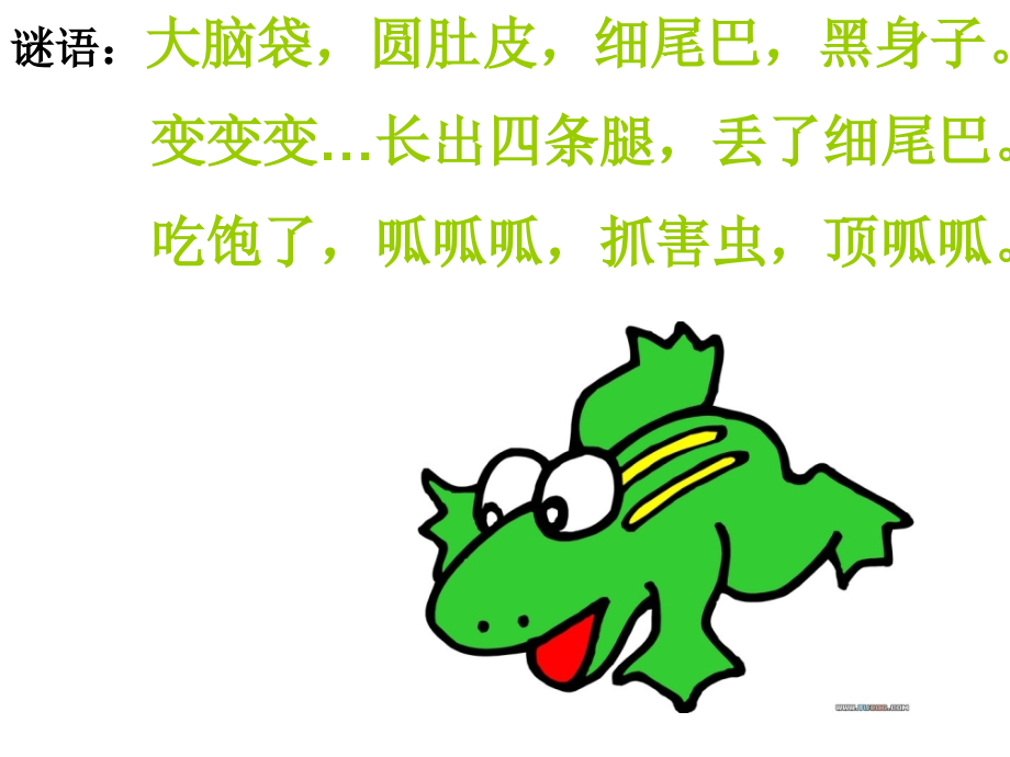 一年级语文下册_《小蝌蚪找妈妈》PPT课件.ppt_第1页