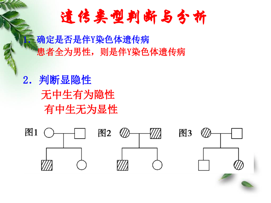 伴性遗传(习题课).ppt_第2页