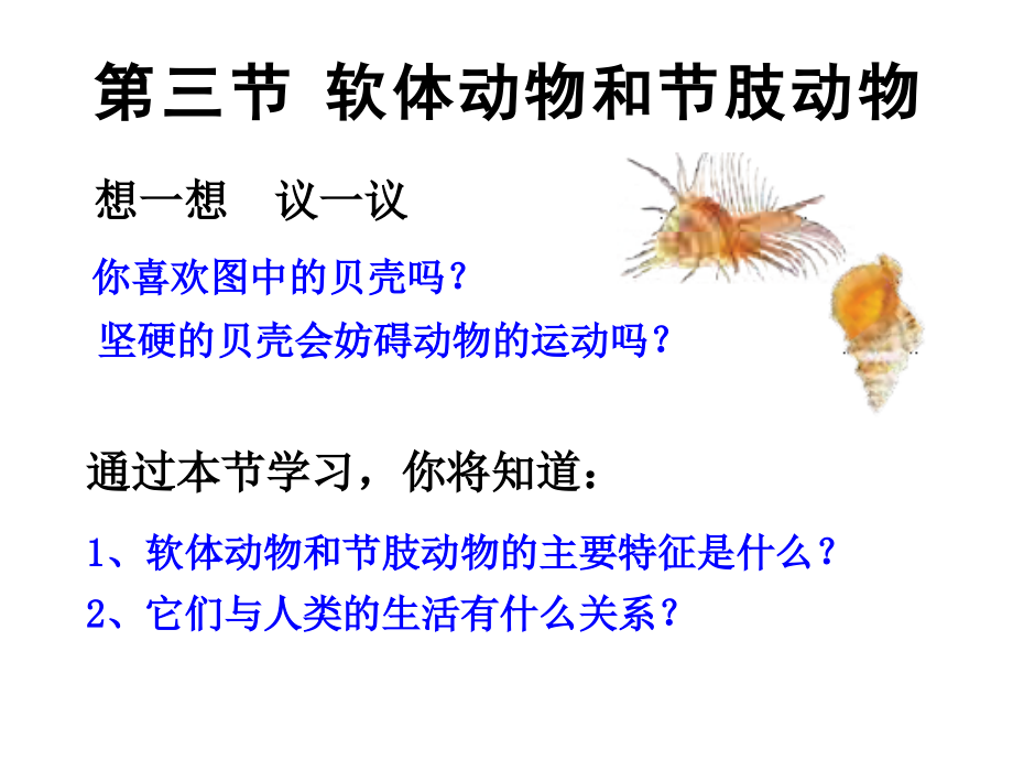 软体动物和节肢动物.ppt_第2页