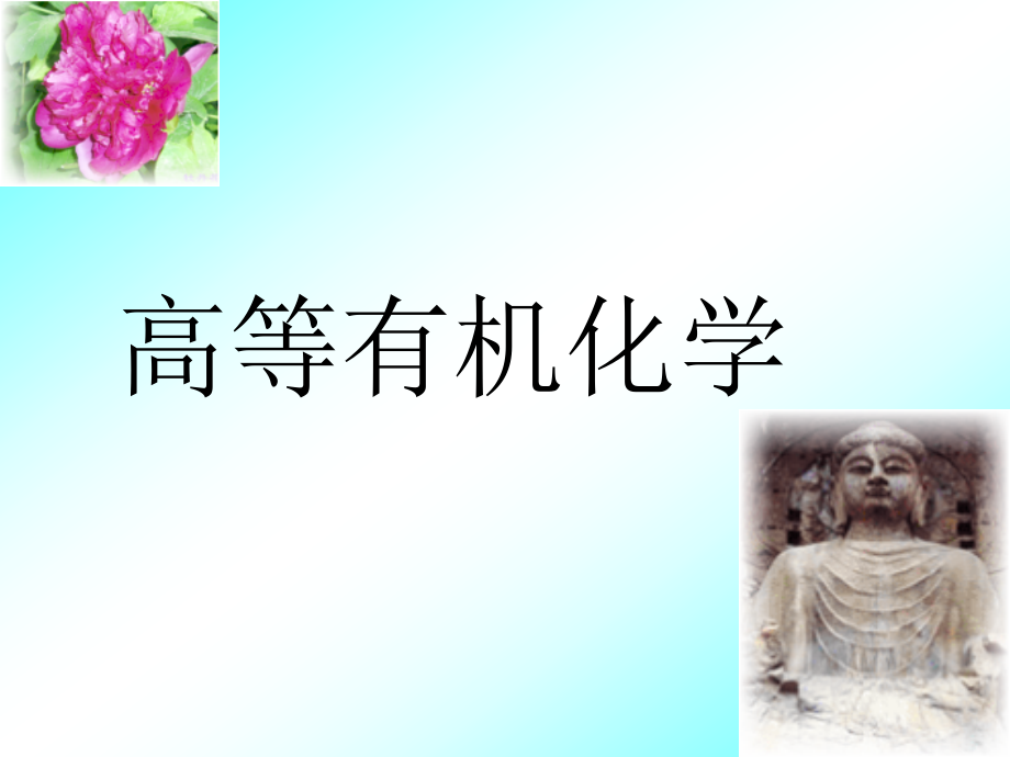 碳杂重键的加成.ppt_第1页