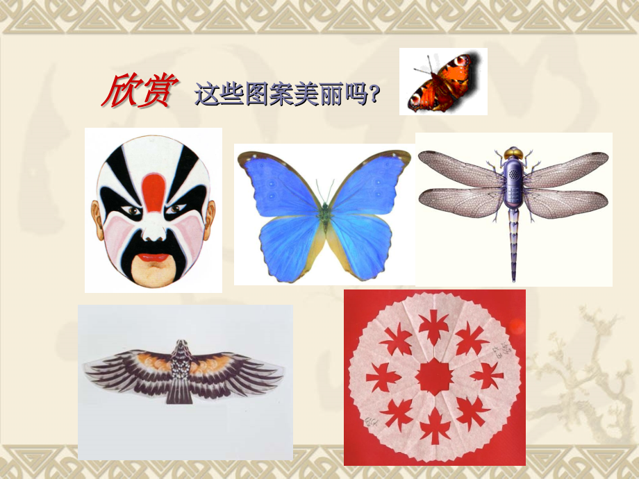 轴对称现象.ppt_第2页