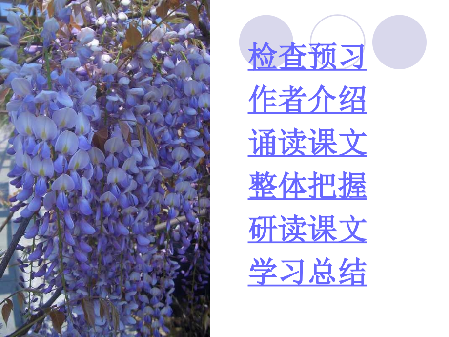 课件：紫藤萝瀑布.ppt_第2页