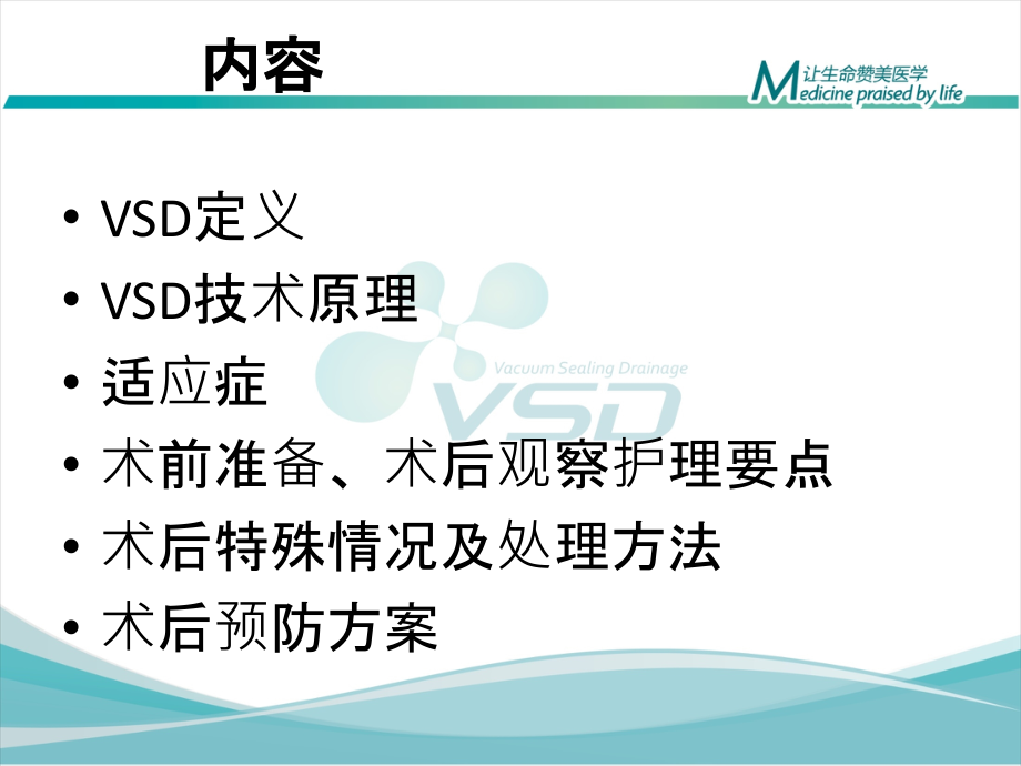 伤口造口VSD护理讲义.ppt_第2页