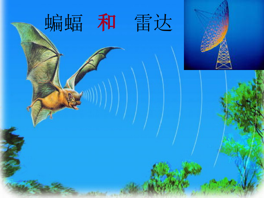 蝙蝠和雷达课件PPT下载_人教版新课标四年级语文下册课件.ppt_第1页