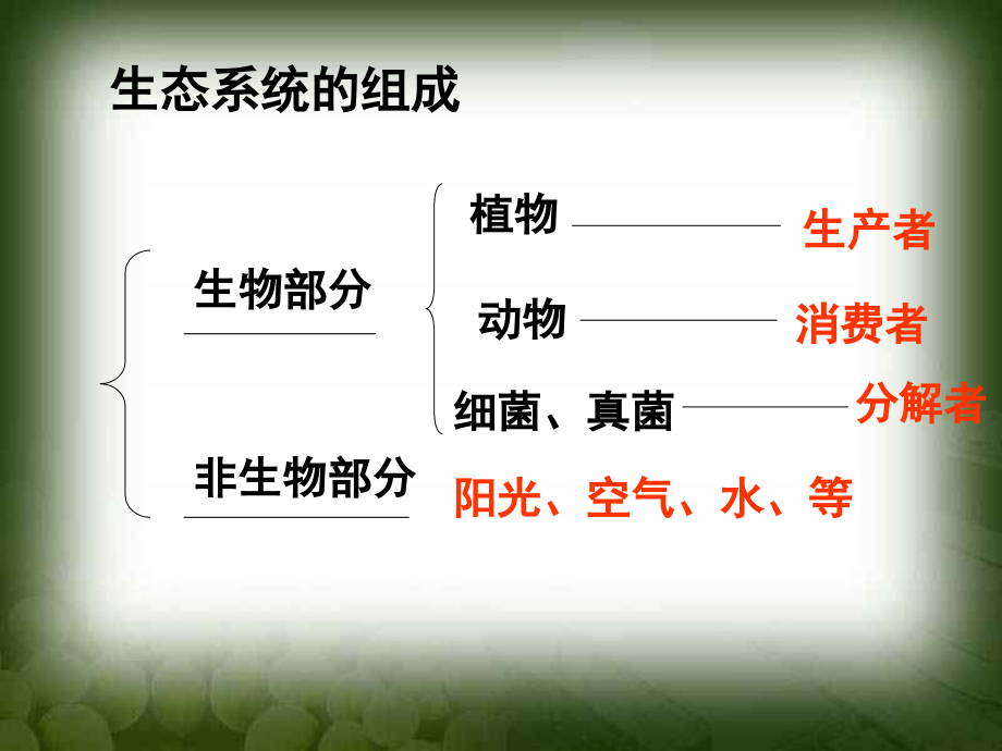 细菌和真菌在自然界中的作用课件.ppt_第2页