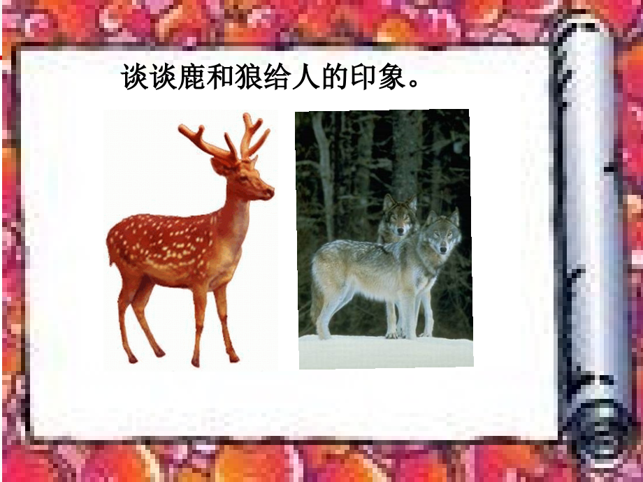 人教新课标版小学六上《鹿和狼的故事》课件.ppt_第1页