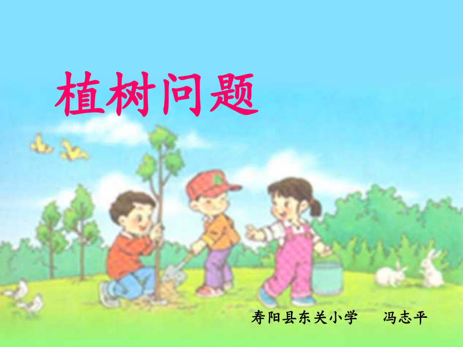 植树问题冯志平.ppt_第1页