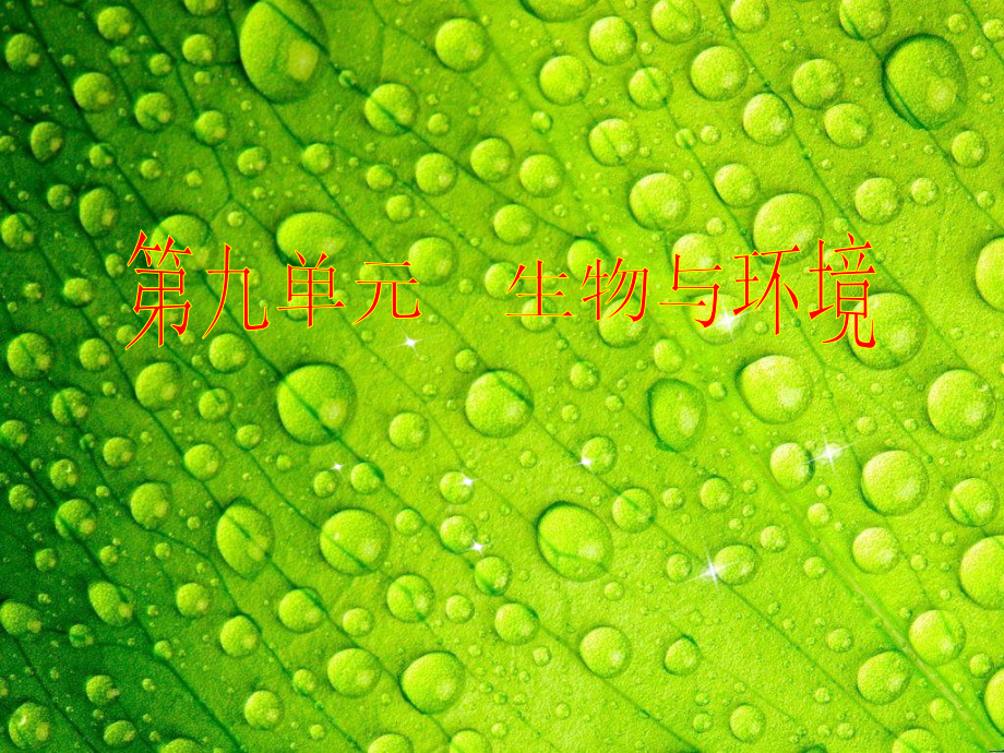 第一轮复习生物与环境.ppt_第1页