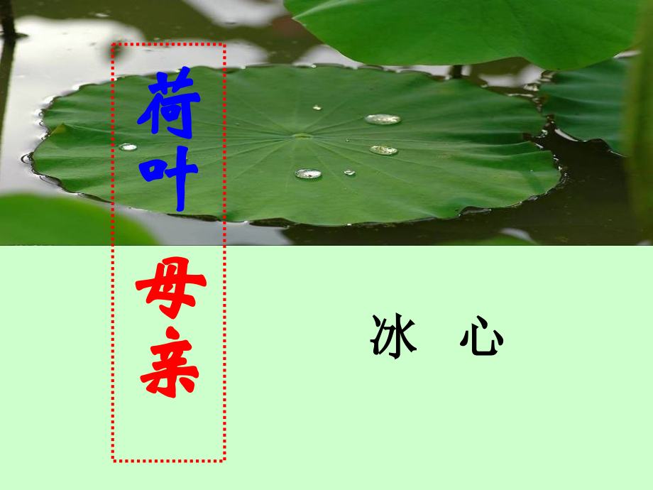 诗两首+荷叶母亲.ppt_第2页