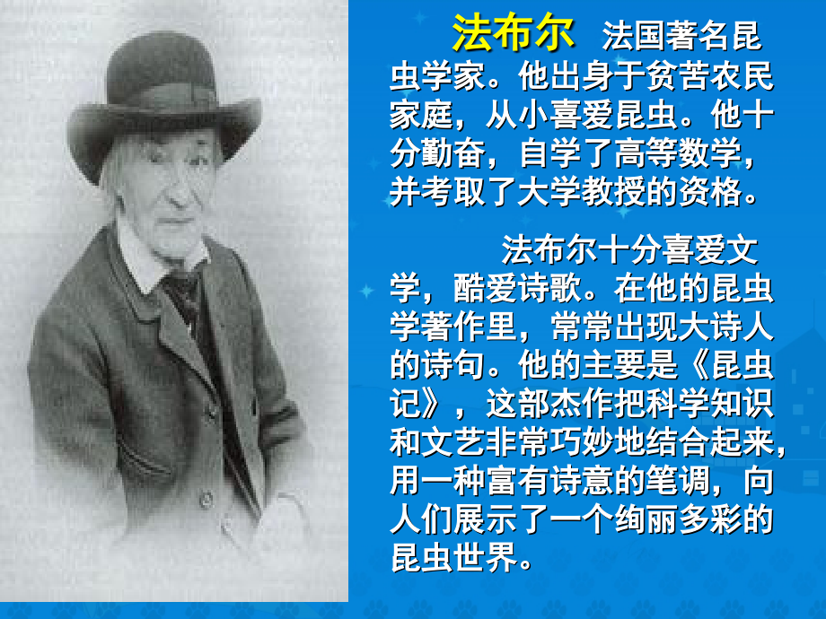 《蟋蟀的住宅》课堂演示课件.ppt_第2页