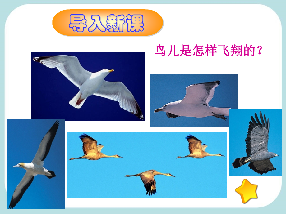 第九章第四节《流体压强与流速的关系》.ppt_第1页