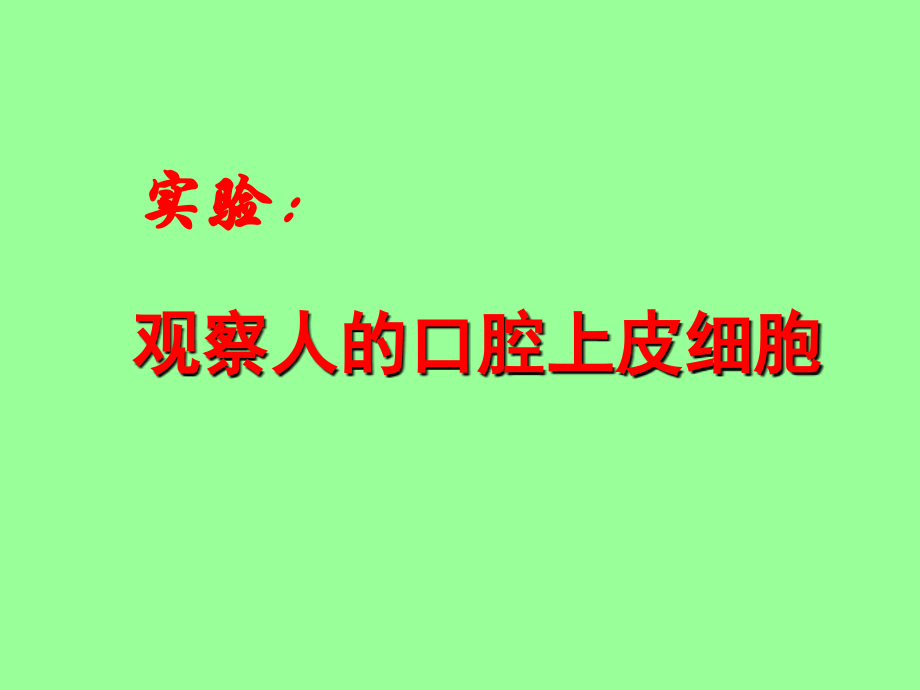 观察口腔上皮细胞实验xz.ppt_第1页