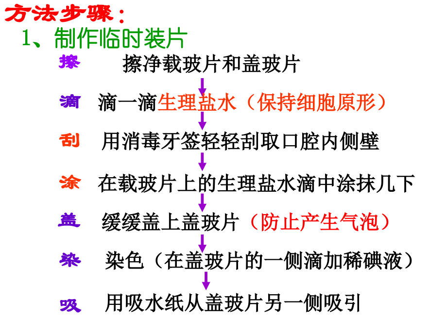 观察口腔上皮细胞实验xz.ppt_第2页