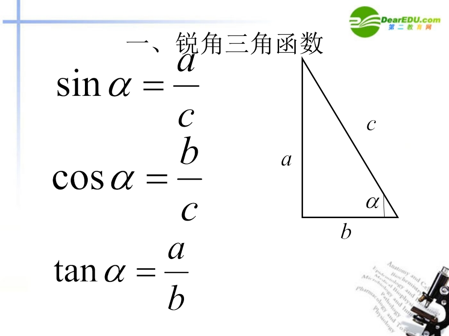高中数学 12任意角的三角函数课件 新人教A版必修4 课件.ppt_第2页