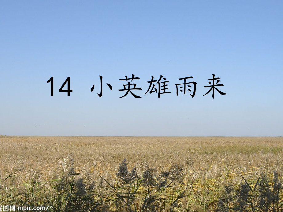 小组合作学习《小英雄雨来》课件.ppt_第1页