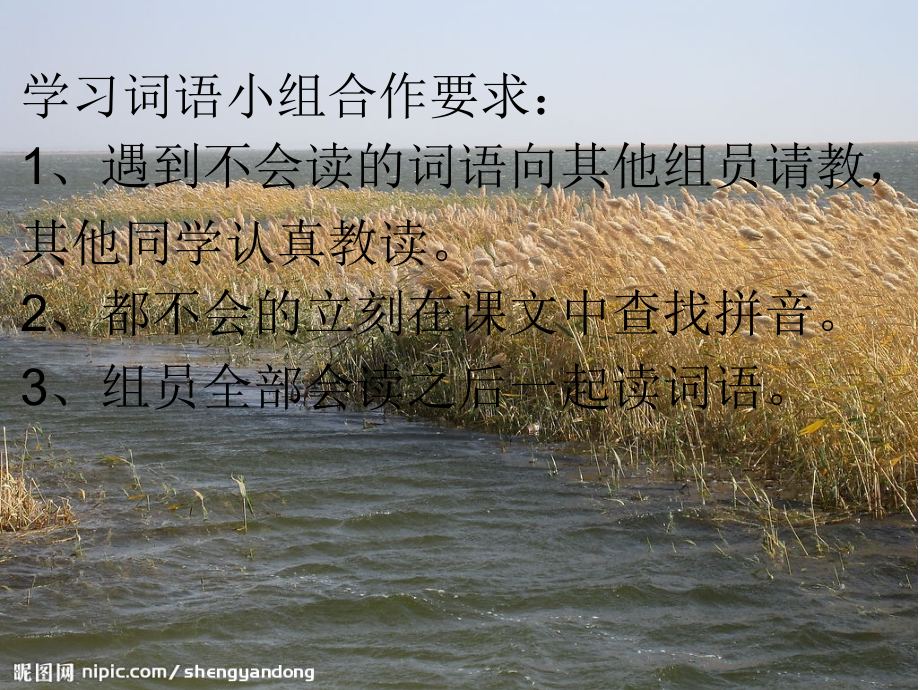 小组合作学习《小英雄雨来》课件.ppt_第2页
