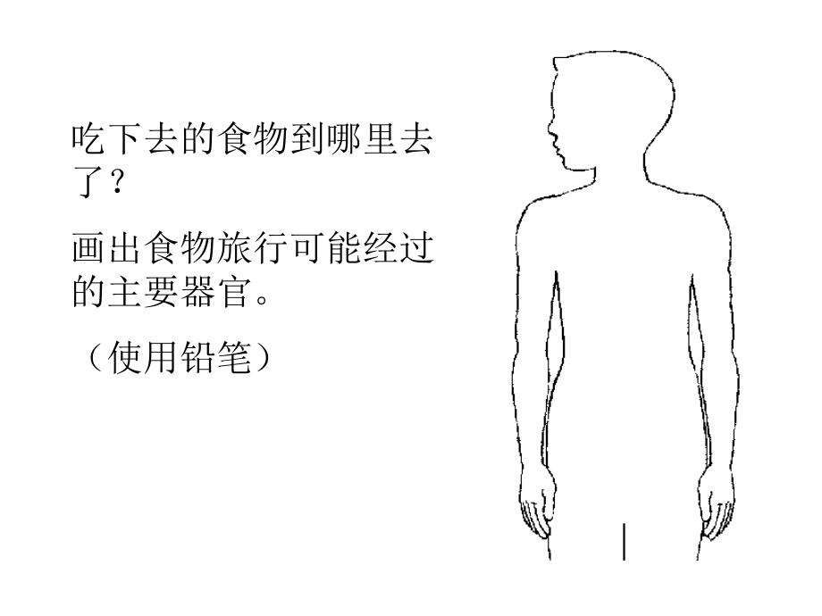 食物旅行课件.ppt_第2页
