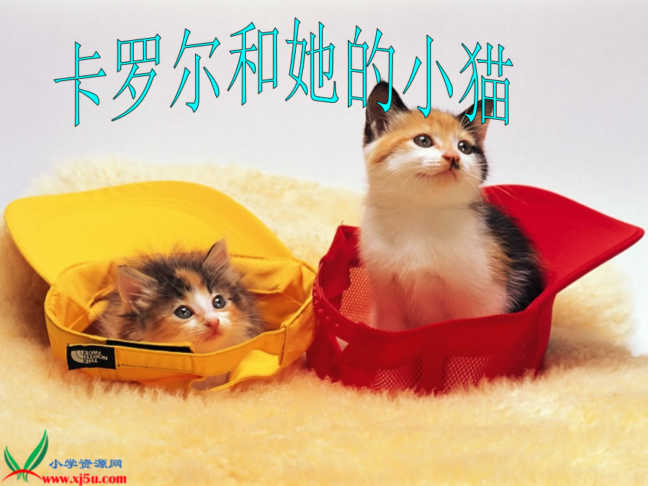 《卡罗尔和她的小猫》第二课时.ppt_第1页