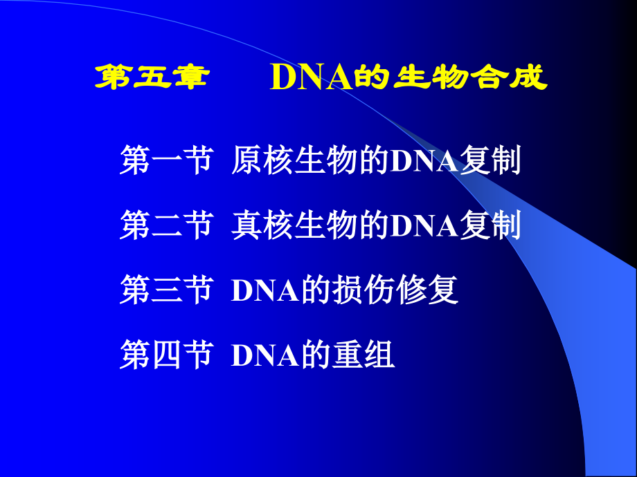 第五章DNA生物合成.ppt_第1页