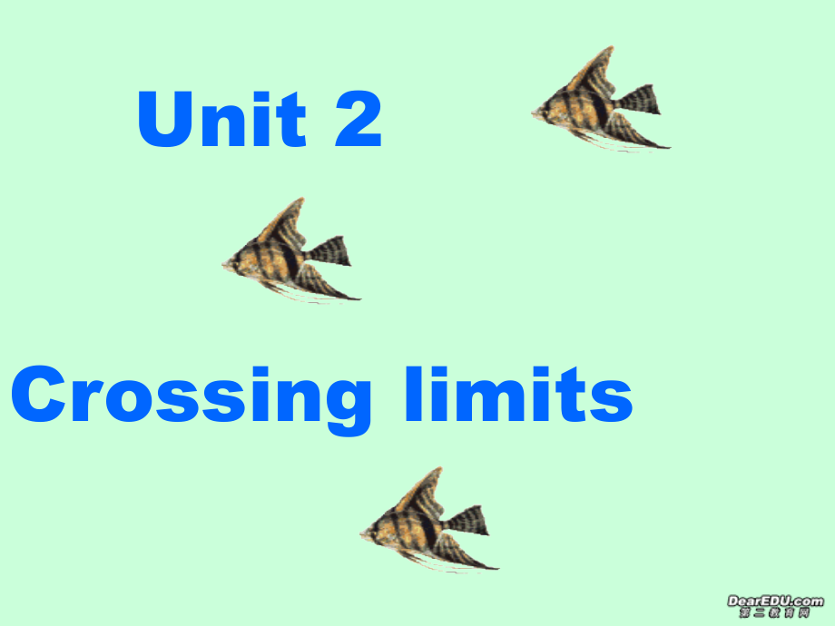 高三英语Unit2 crossing limitreading课件 人教版 课件.ppt_第1页